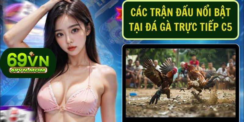 Các trận đấu đá gà C5 luôn mang đến sự bất ngờ đầy kịch tính