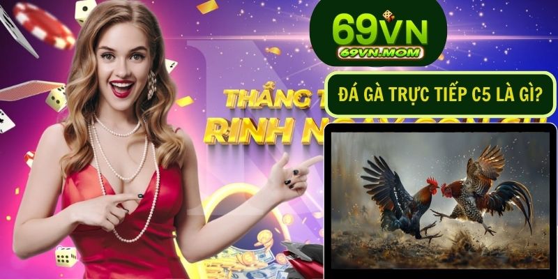 Đá gà trực tiếp C5 là hình thức xem các trận đấu đá gà được phát sóng trực tuyến