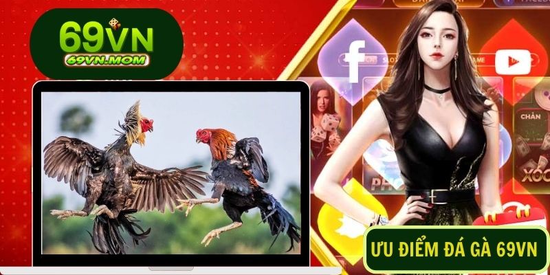 Sảnh game đá gà 69VN mang đến những trải nghiệm đầy kịch tính và thú vị