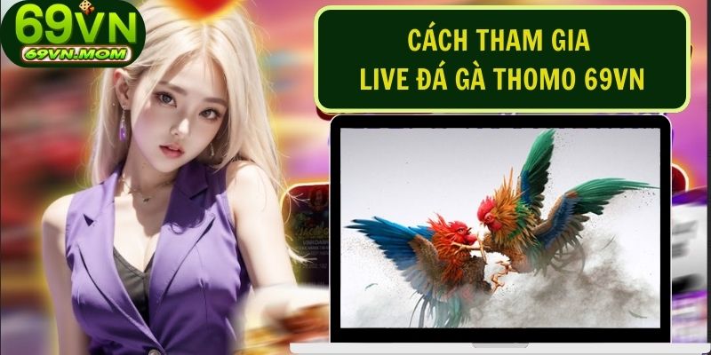 Tham gia các trận đấu đá gà Thomo tận hưởng giây phút hồi hộp đầy kịch tính